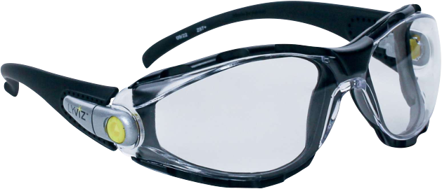 Delta Plus PACAYA LYVIZ Koruyucu Gözlük